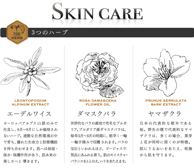 ３つのハーブ